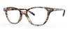 OGI Dontcha Know HAVA Havana Mint Tortoise 51-16