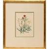 The Ladies Flower Garden with Blue Trim Mat 2