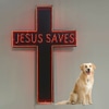 JESUS SAVES #03