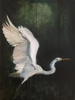 IRBKEV-Blue Heron 1/2 (56x44")
