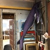 Whale Inflatable Balloon