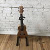 Ukulele