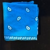 Blue Kerchief/Bandana
