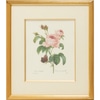 Botanical 2