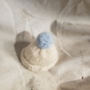 Teddy Bear and hat