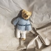 Teddy Bear and hat
