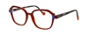 Face A Face Blink 3 5021 Tortoise Shell 53-18