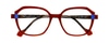 Face A Face Blink 3 5021 Tortoise Shell 53-18