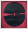 CHUELL-Shield DF