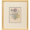 Blue Botanicals  4