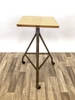 Rolling Adjustable Stand/Table