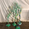 Tree / Coral