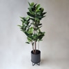 Artificial Tree