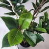 Artificial Tree