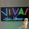 VIVA LAS VEGAS #02