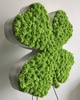 SILK Shamrock or Four Leaf Clover Easel Arrangement