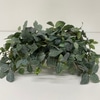 SILK Fittonia Planter