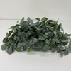 SILK Fittonia Planter