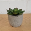 Mini Artificial Succulent