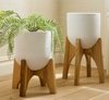 Planter Indoor