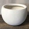 Small White Fiberglass Bowl