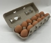 Dozen eggs and carton