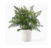 Artificial Plant