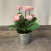 SILK Pink Potted plant