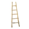Pueblo Ladder