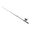 Fishing Rod and Reel