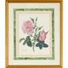 Vintage Rose with Pink & Green Marble Boarder II