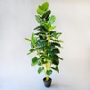 Artificial plant