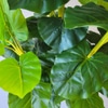 Artificial plant