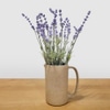 Artificial Plant