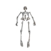 Clean Faux Full Body Skeleton : Lily