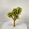 Artificial Sedum Stem
