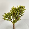 Artificial Sedum Stem