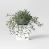 Faux Plant