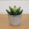 Mini Artificial Succulent