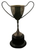 trophy tarnished metal plastic bottom