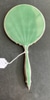 Vintage Handheld Mirror. Green Shell Pattern Back