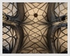 RANABB-Gothic Arches 17x21"