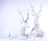 Withe Reindeer