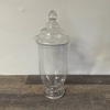Glass Botanical Jar