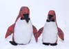 Little Plaid Penguins