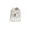 NYPD Police Hat Badge