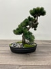 SILK Small Bonzai tree