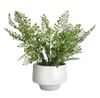 Potted Plant; Faux fern, full leafy stems,