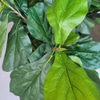 Artificial Tree