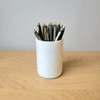 Ballpoint Pen Set